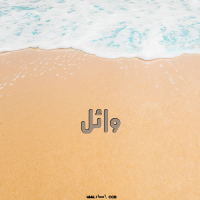 إسم وائل مكتوب على صور الرمل